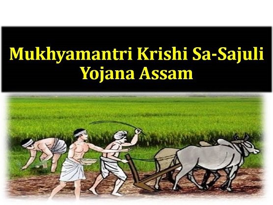Mukhyamantri Krishi Sa-Sajuli Yojana in Assam